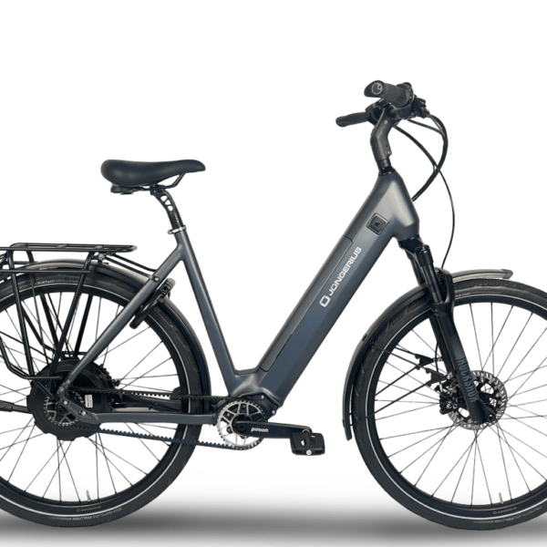Jongerius Pinion Neodrives E-bike Lady