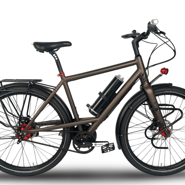 Jongerius TravL Rohloff Pendix Men