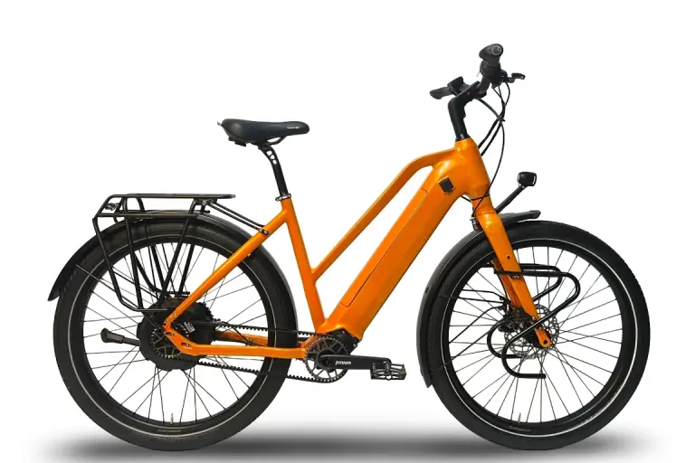 Jongerius_Pinion_Neodrives_Ebike_UniV10_1