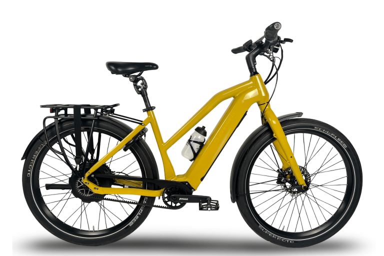 Jongerius_Pinion_Neodrives_Uni1 (Middel)